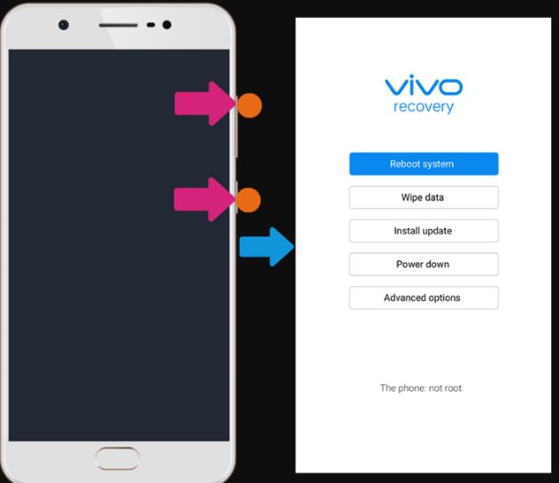 Fullview Display Devices